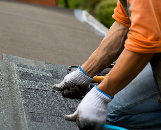 Quick and Trustworthy Emergency Roof Repair Services in Louisville, OH